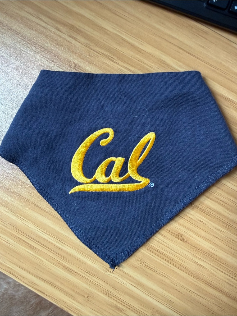Cal Berkeley newborn baby bib
